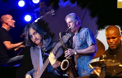 The Yellowjackets